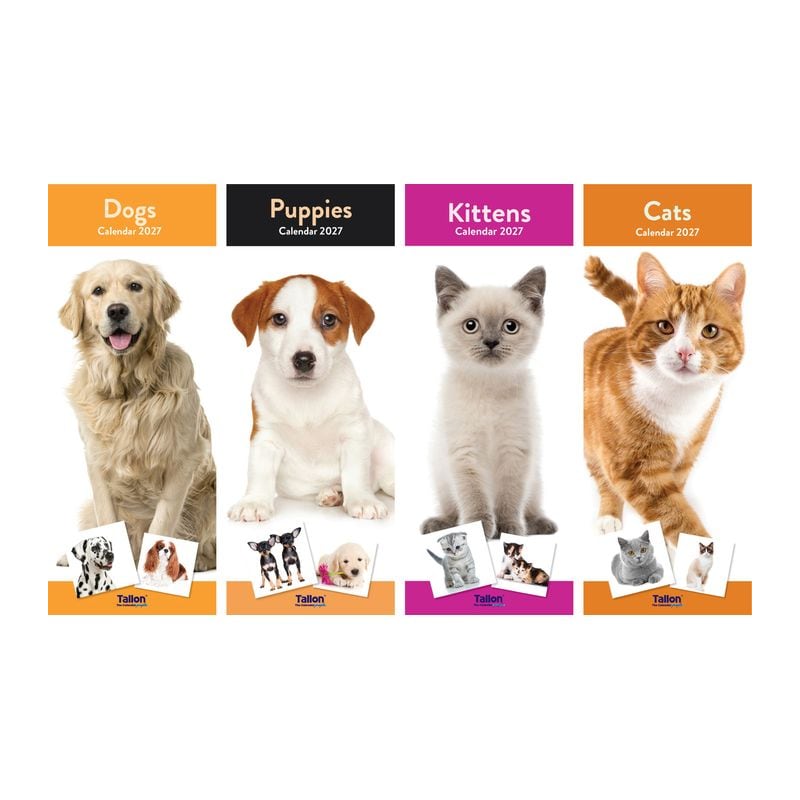 Calendar 2027 Slim Animals Assorted