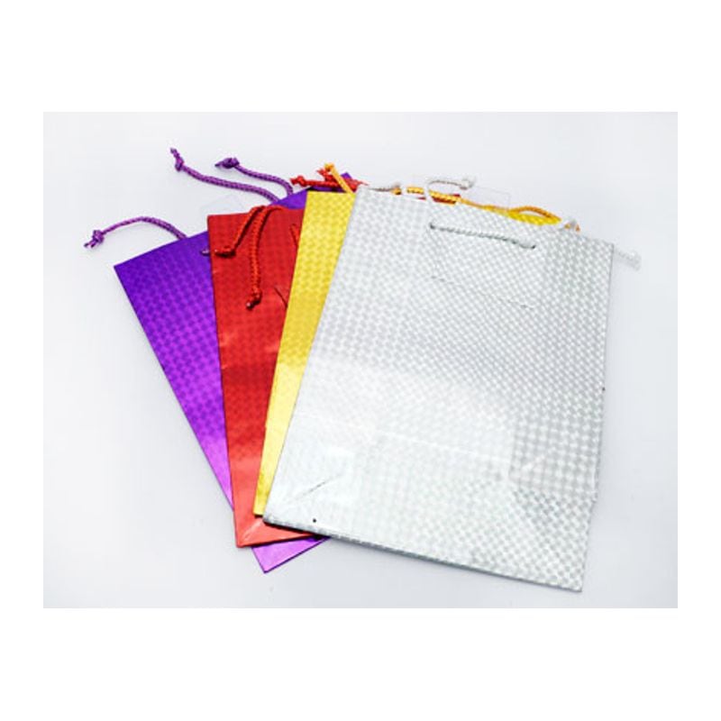 Hologram Gift Bags Medium