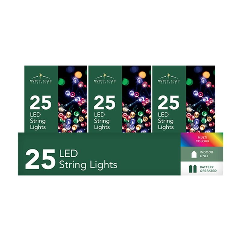 Xmas Lights Battery Op Multi Colour 25B